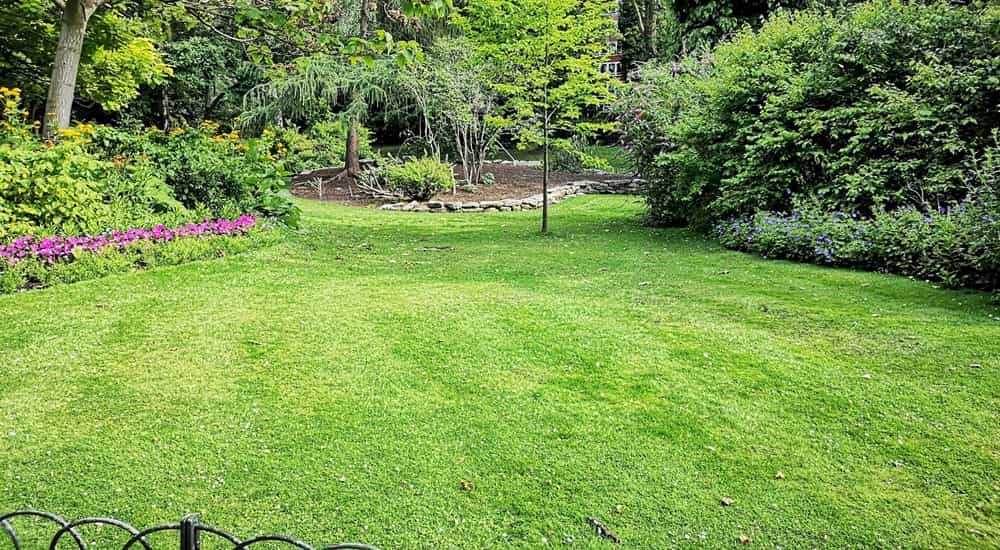 cómo arreglar un jardín descuidado