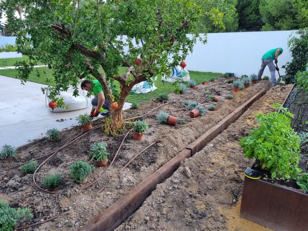 poda de arbustos y setos en Alicante