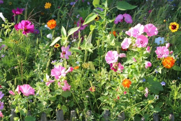 jardín en primavera