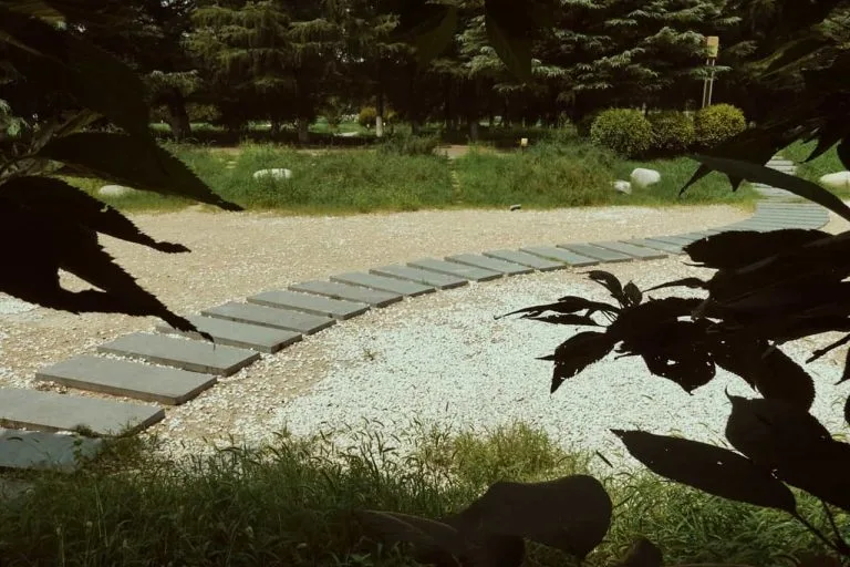 jardín de bajo mantenimiento