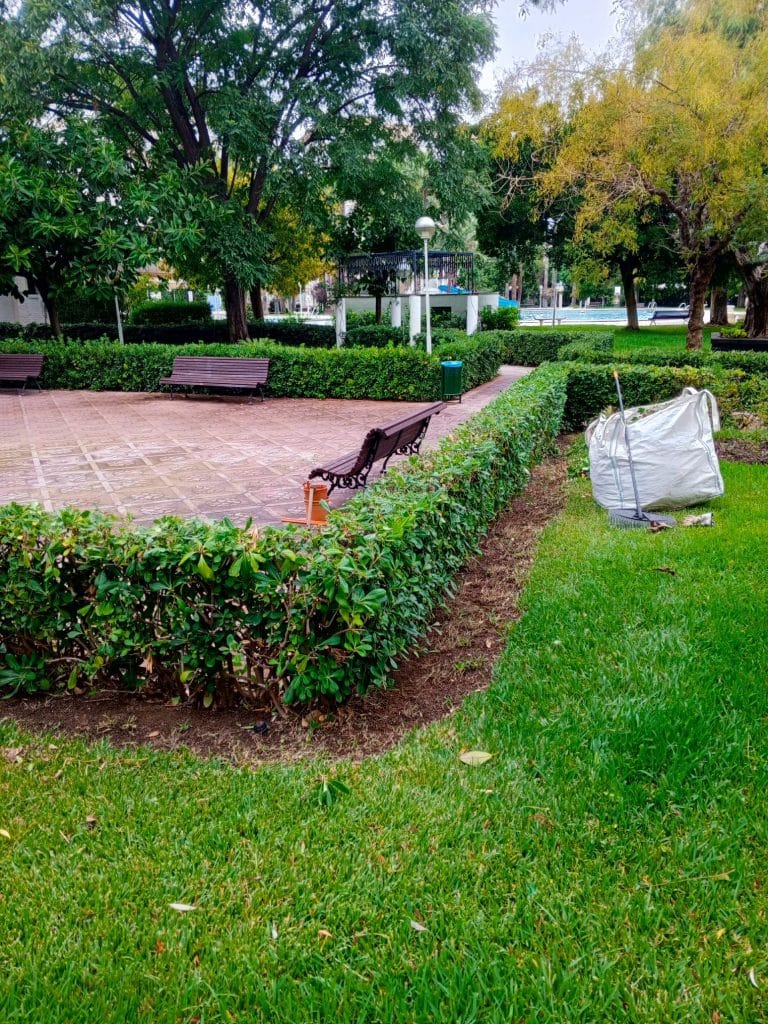 desbroce de parcelas en Alicante
