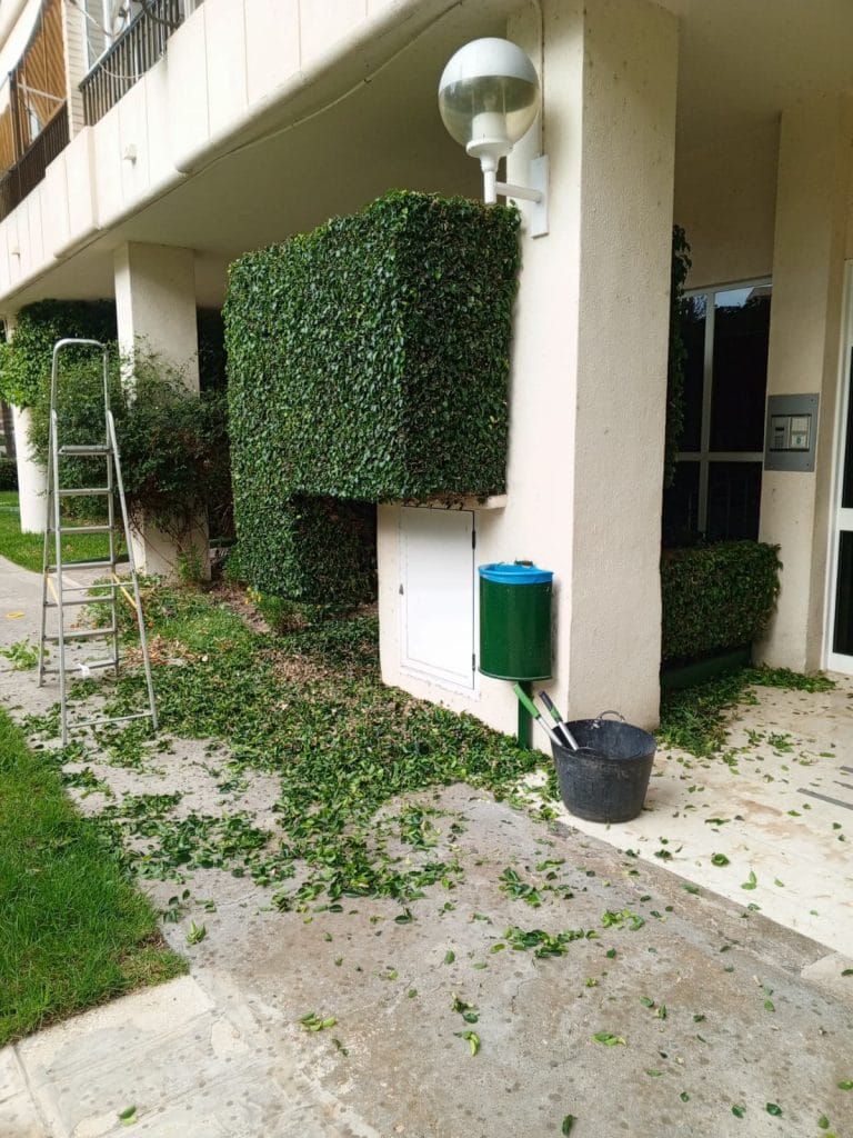 desbroce y limpieza en Alicante