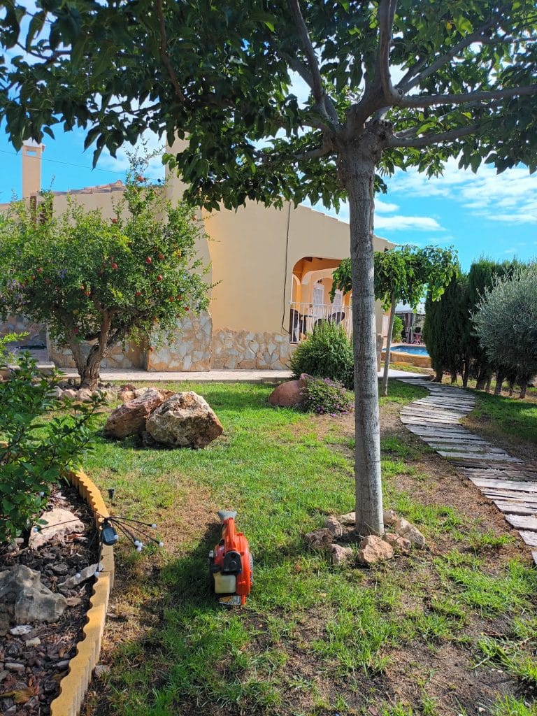 fumigación y control de plagas en Alicante