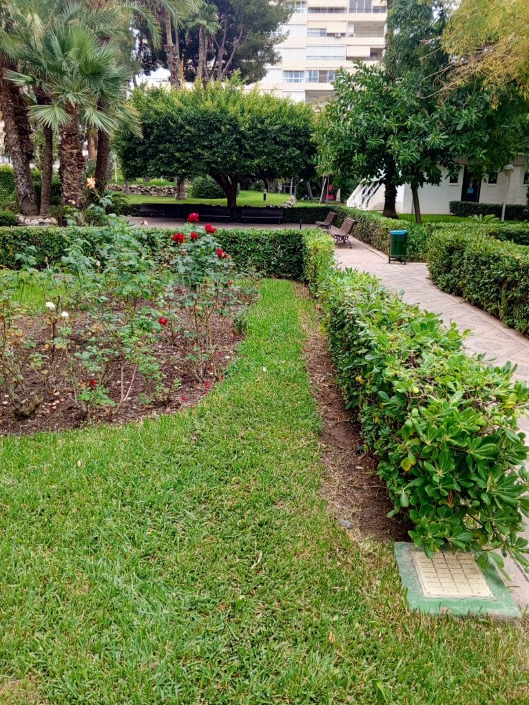 fumigación y control de plagas en Alicante