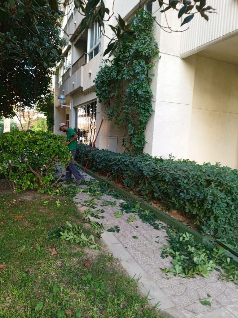 instalación de jardines verticales en Alicante