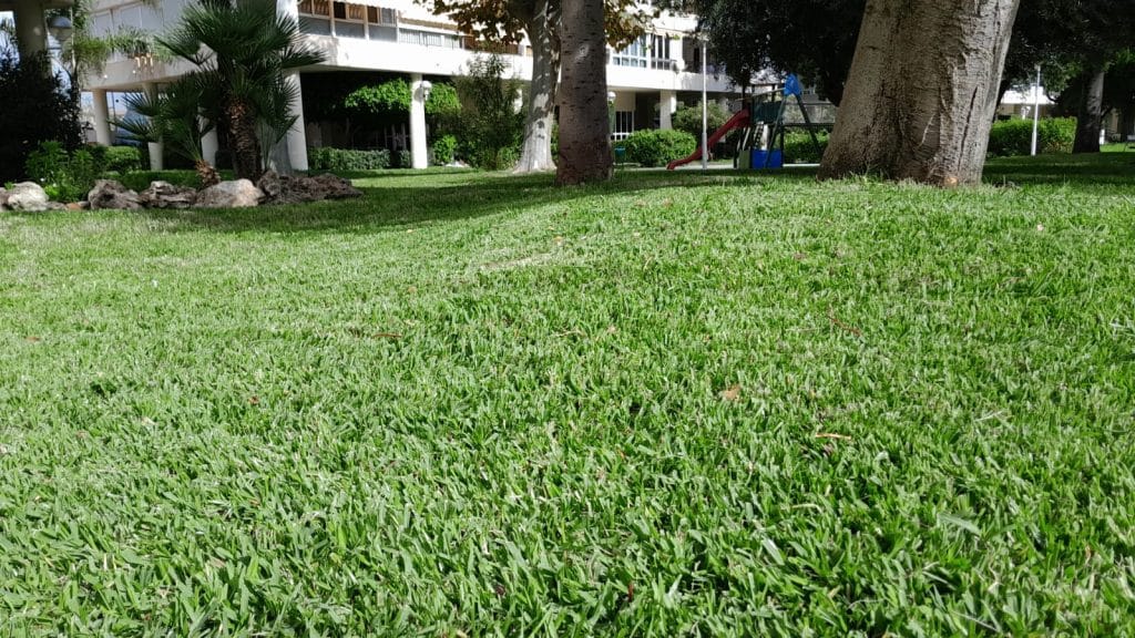 instalación de riego en Alicante