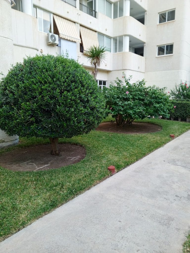 instalación de riego en Alicante