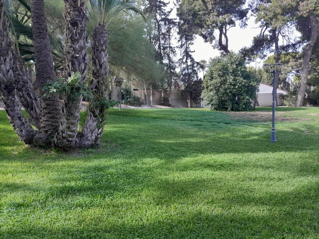 instalación de riego en Alicante