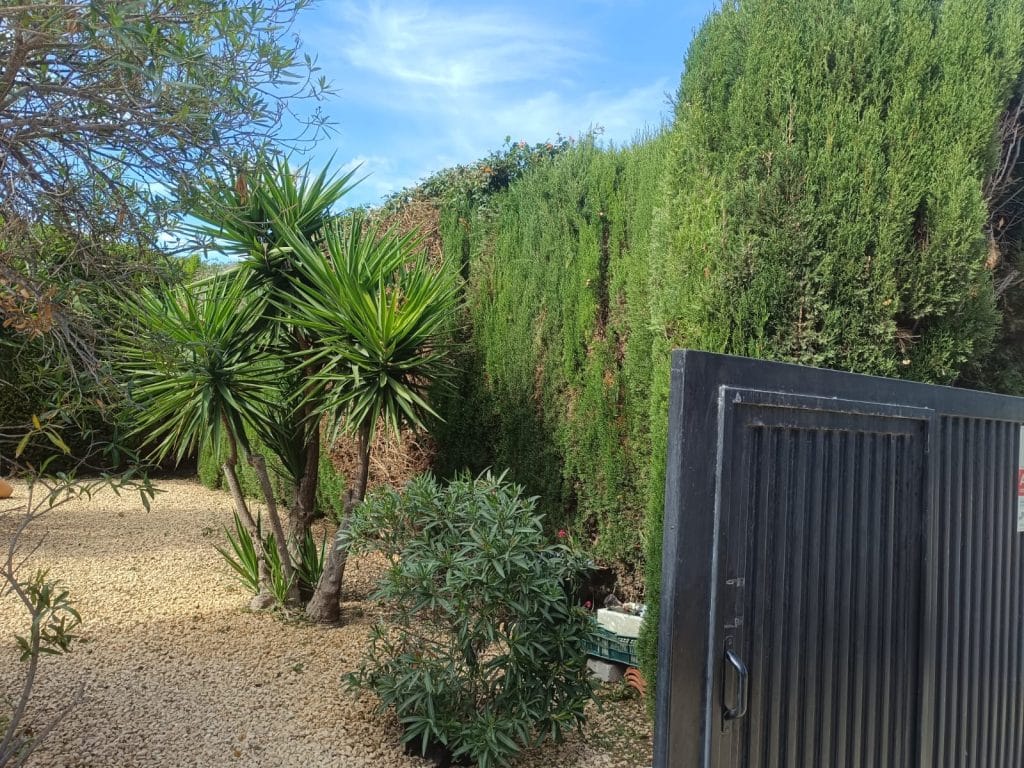 jardines verticales en Alicante