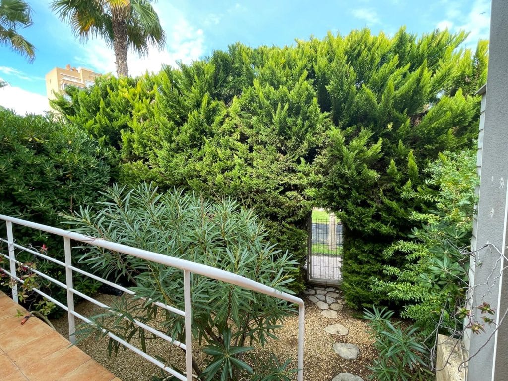 jardines verticales en Alicante