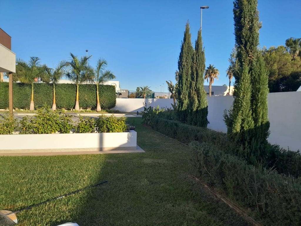diseño de jardín en Alicante