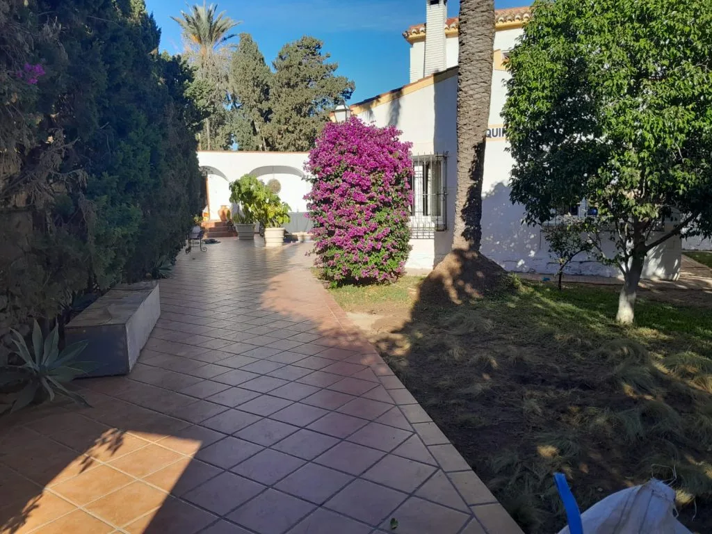 diseño de jardín en Alicante