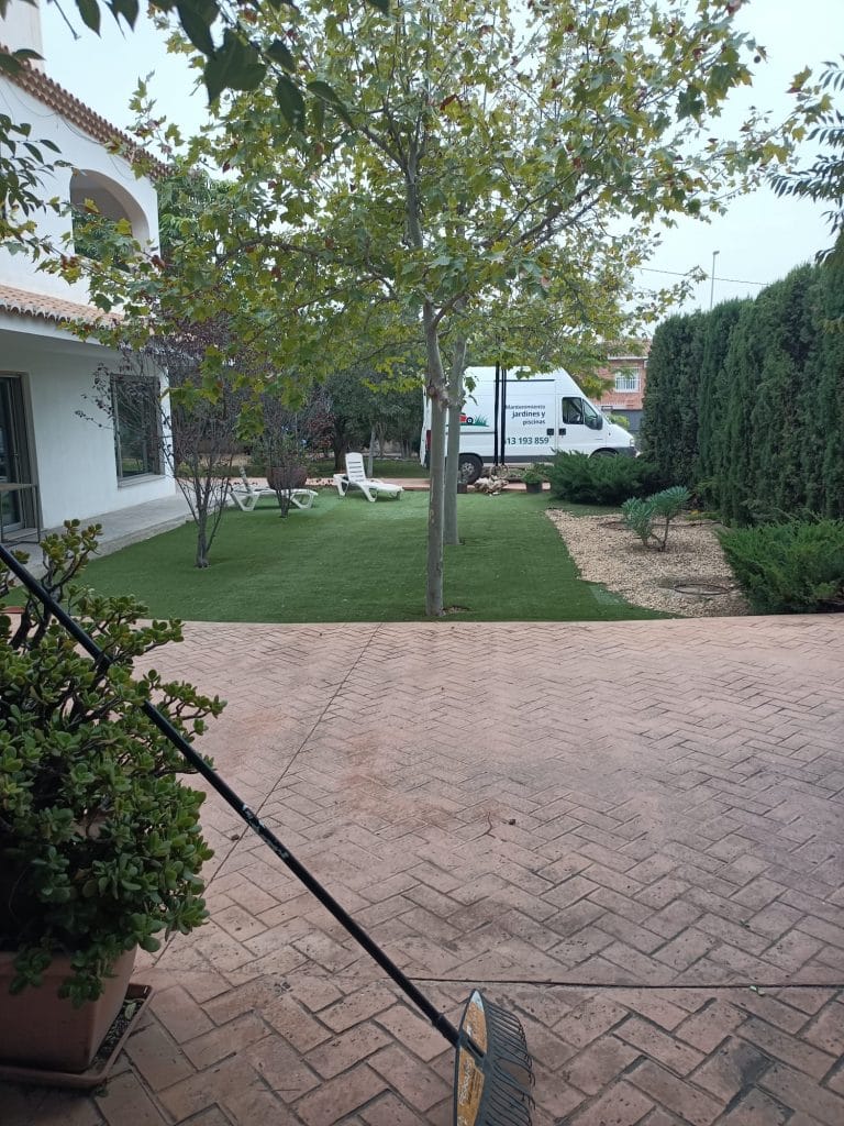 limpieza de jardín en Alicante