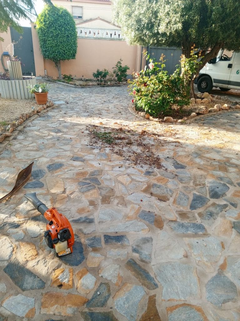 limpieza de plaza en Alicante