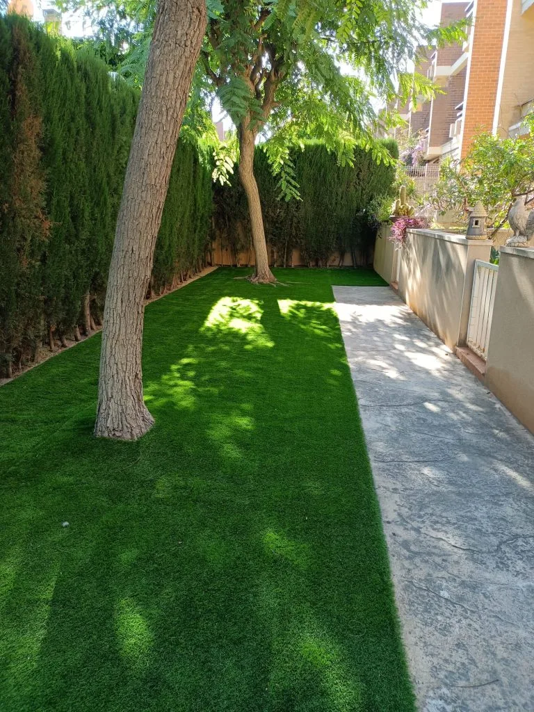 mantenimiento de jardín en Alicante