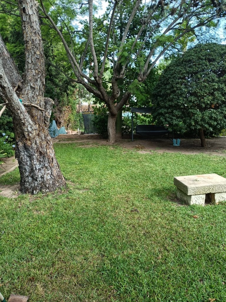 mantenimiento de jardín en Alicante