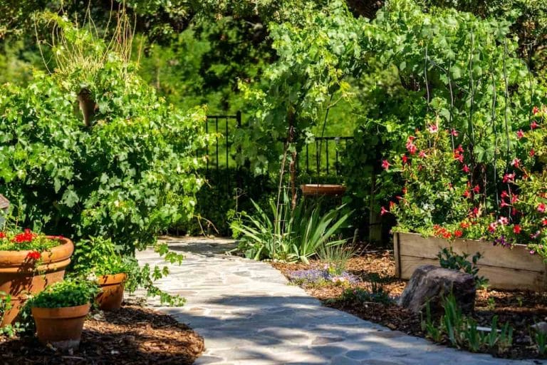 cómo hacer un camino en el jardín