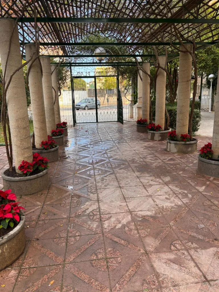 diseño de entrada de jardín en Alicante
