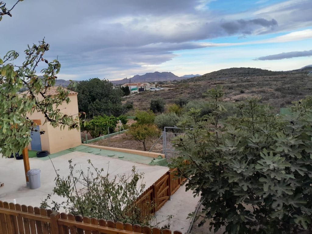 limpieza de parcelas en Alicante