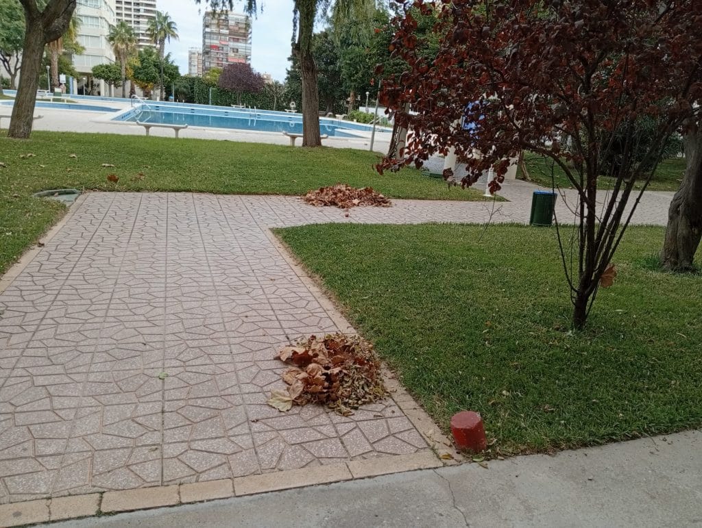 limpieza de urbanización con piscina en Alicante