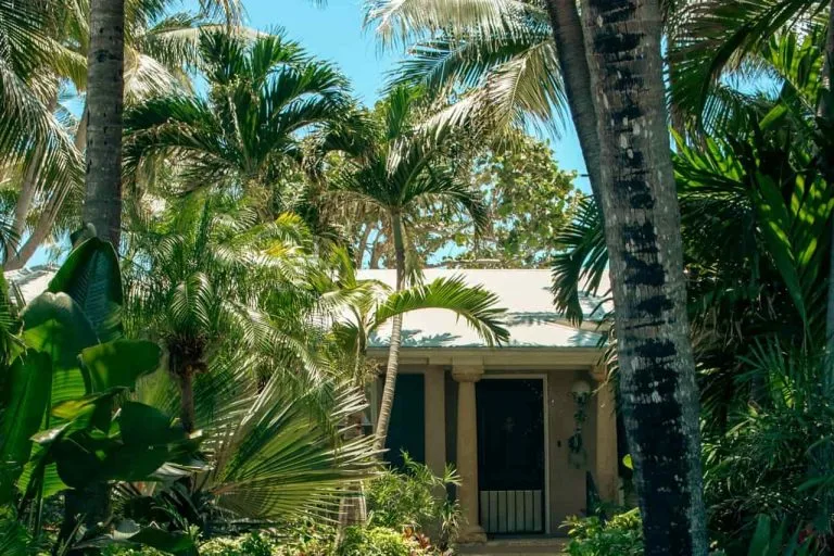 jardín tropical